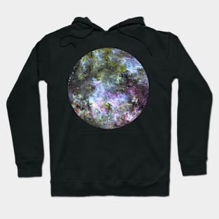 Dreamland: waterfall Hoodie